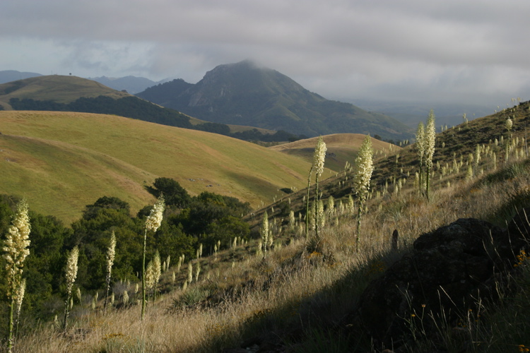 chorro peak from above pennington canyon