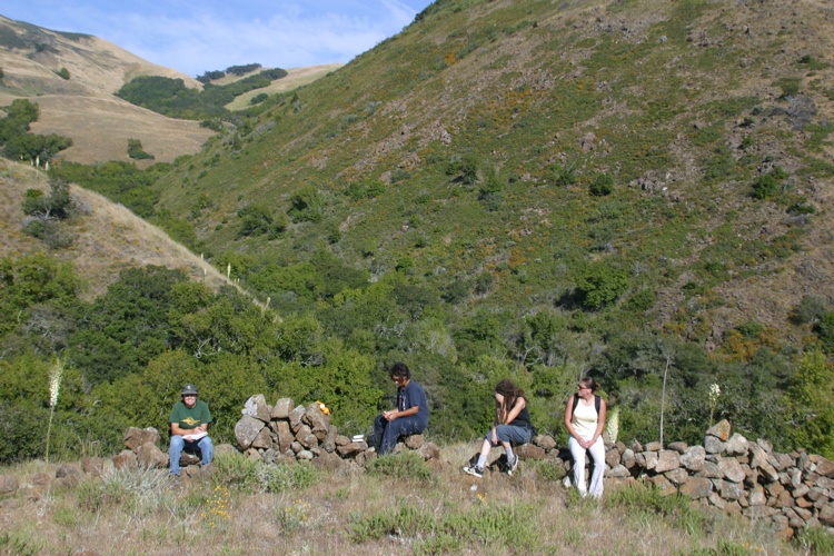 ancient sheep corral