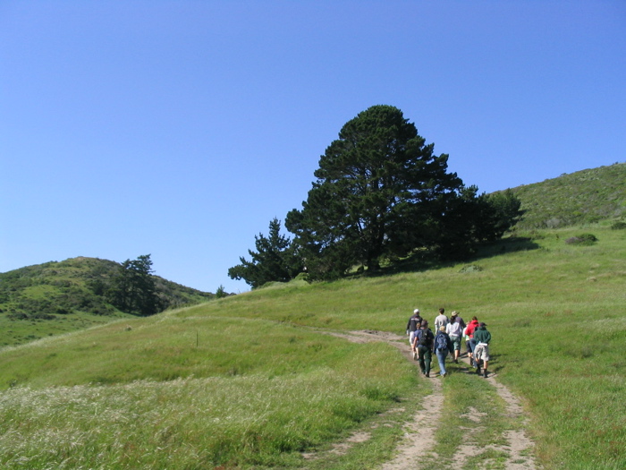marine terrace pastureland