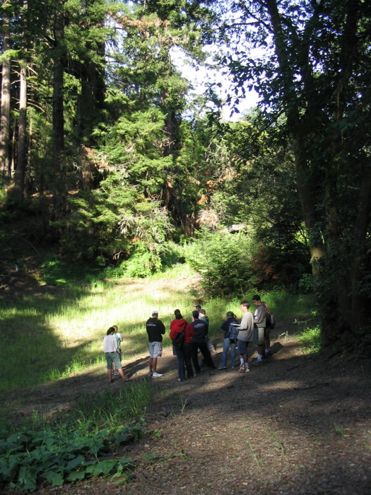 brian bishop on sustainable forestry practises