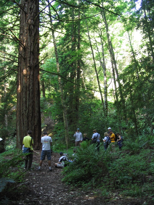 comparative watershed study on little creek