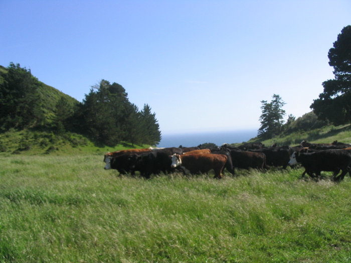 circling the third time